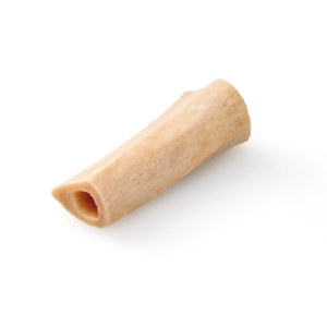 Tibial Shaft, Irradiated, Frozen