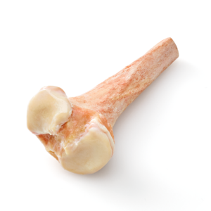 Proximal Tibia, Irradiated, Frozen