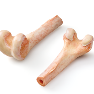 Distal Femur, Irradiated, Frozen