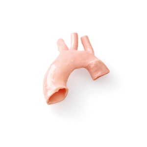 Ascending Aorta Conduit