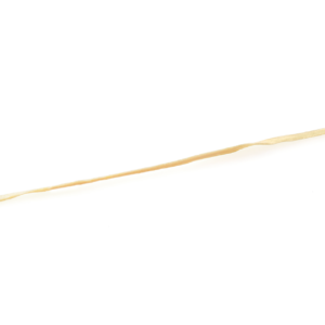 Gracilis Tendon, Irradiated