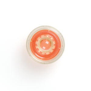 Cornea In Ethanol, Whole