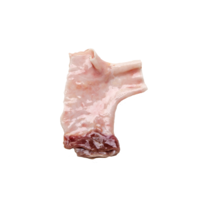 Pièce pulmonaire, hémi gauche