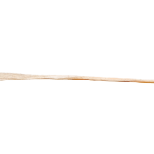 Longus Peroneus Tendon, Short, Irradiated
