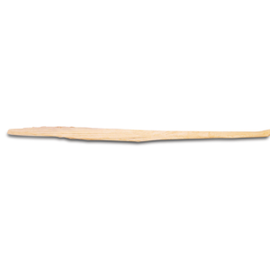 Tibialis Anterior Tendon, Medium Diameter, Aseptic