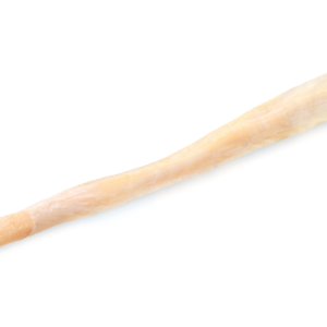Quadriceps Tendon with 10mm Shaped Bone Block, Aseptic