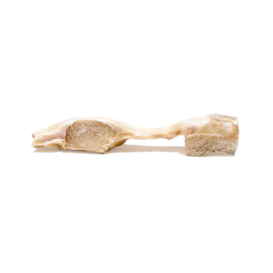 Patellar Tendon Preshaped with Dowel 11mm, Irradiated