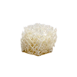 Cancellous Cube, Freeze-Dried