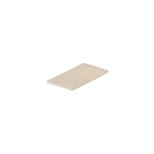 Cortical Plate, 30mm x 15mm x 1mm