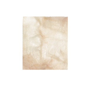 Pericardium, Freeze-Dried, Aseptic, 4cm x 4cm
