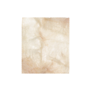 Pericardium, Freeze-Dried, Aseptic, 6-15cm x 6-15cm