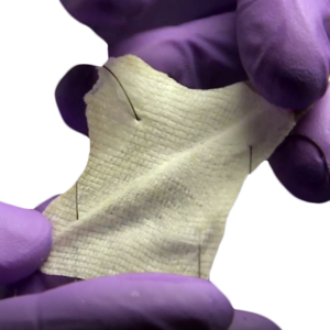 Pericardium, Freeze-Dried, Irradiated, 6cm x 6cm