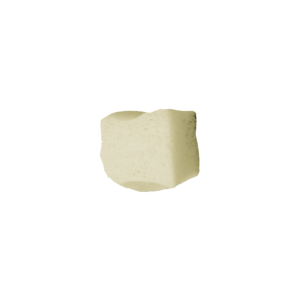 Calcaneus Wedge, Freeze-Dried