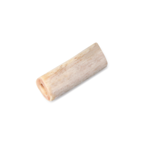 Tibial Shaft, Aseptic, Frozen