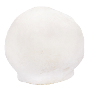 Humeral Head, Irradiated, Frozen
