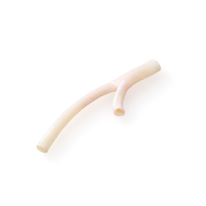 Common Aortoiliac Artery