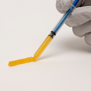 Demineralized Bone Matrix, Gel, Syringe, 10cc