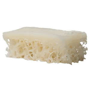 Unicortical Block, 10mm x 15mm x 8mm